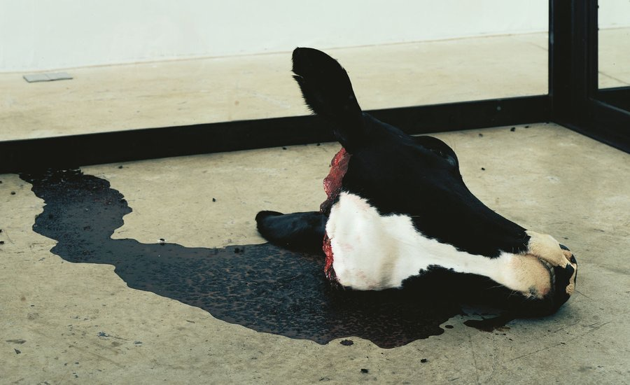 Damien Hirst Cow Head