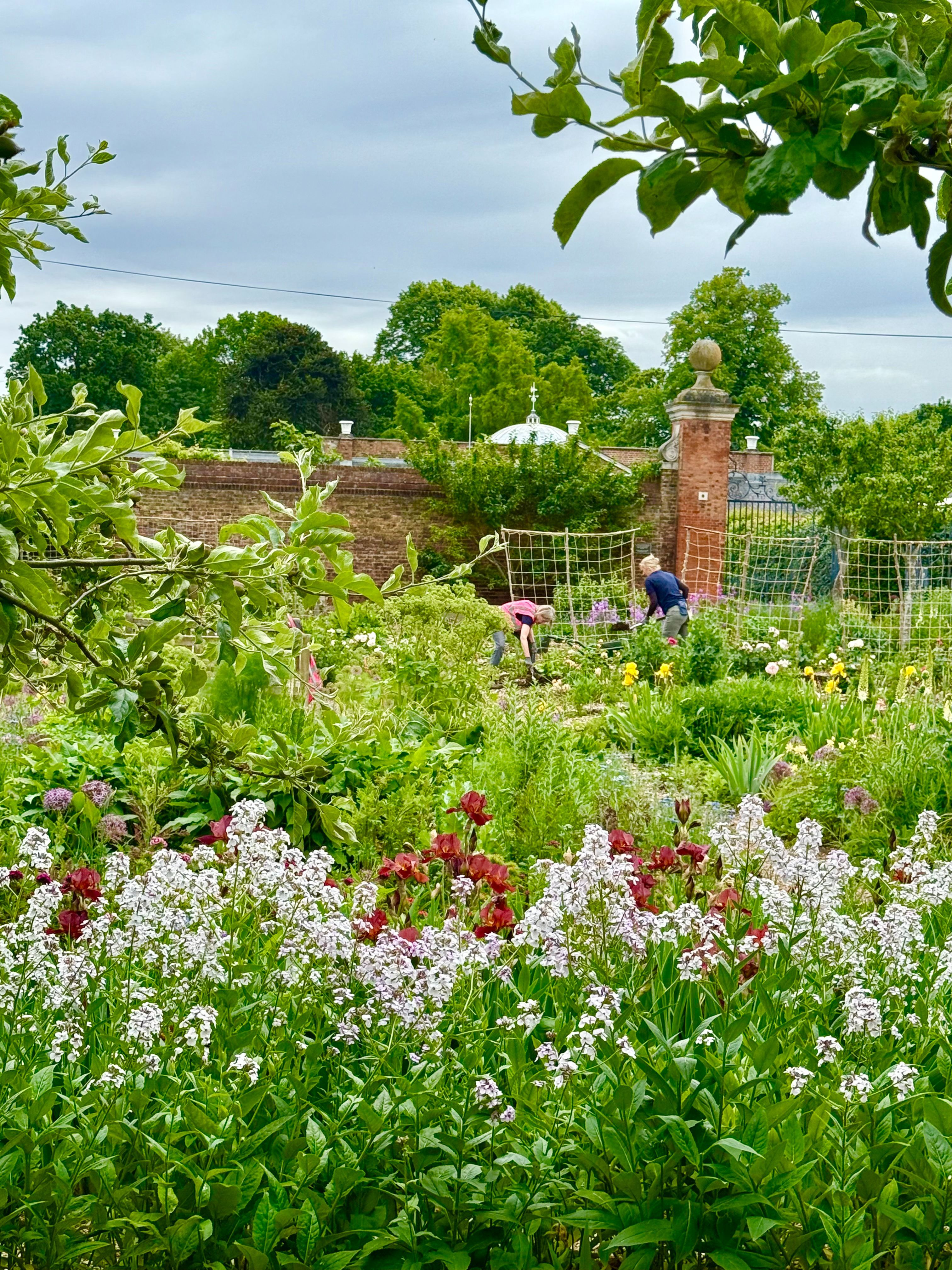 The Kitchen Gardens at Chiswick House