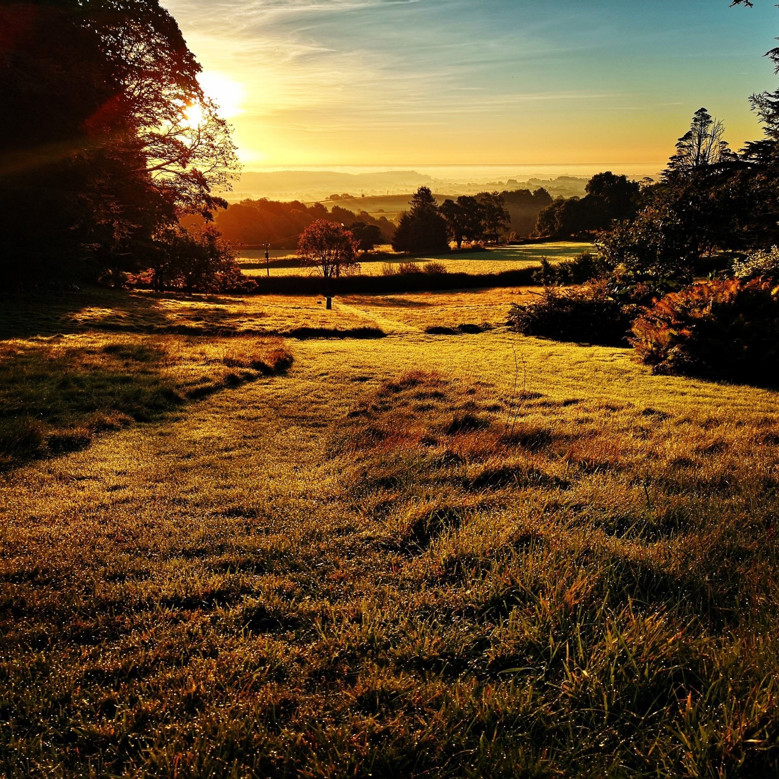 Orange hued view of Mamhead Grounds