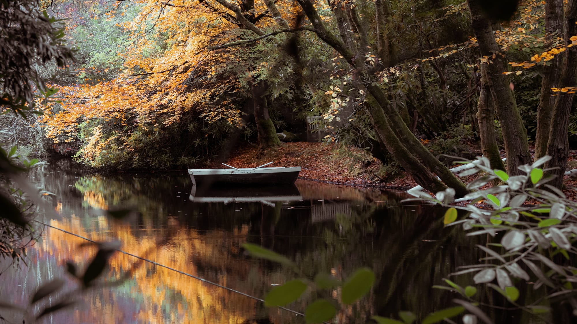 rowboat in the lake